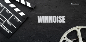 Winnoise