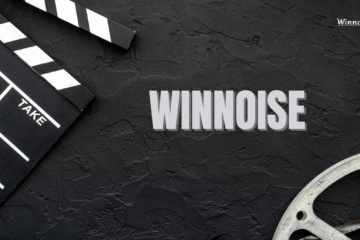 Winnoise