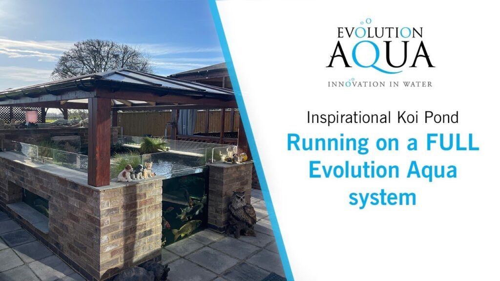 Evolution Aqua